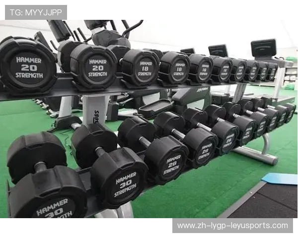 美国力健健身器材价格:如何挑选性价比高的设备 美国力健健身器材价格:如何挑选性价比高的设备